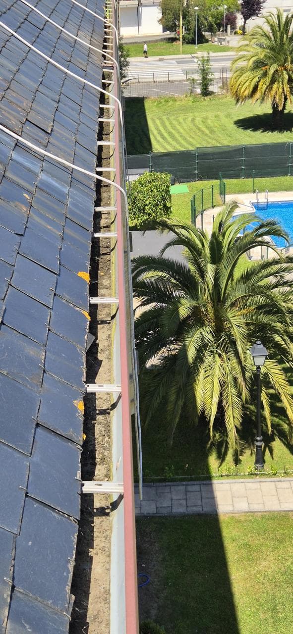 Canalones obstruidos antes de la limpieza