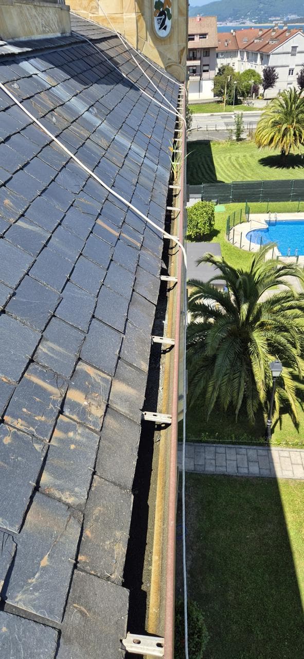 Canalones completamente limpios