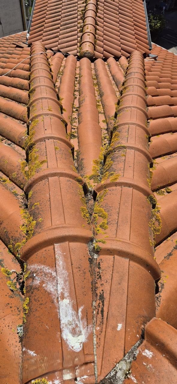 Vista de unión de tejado con musgo