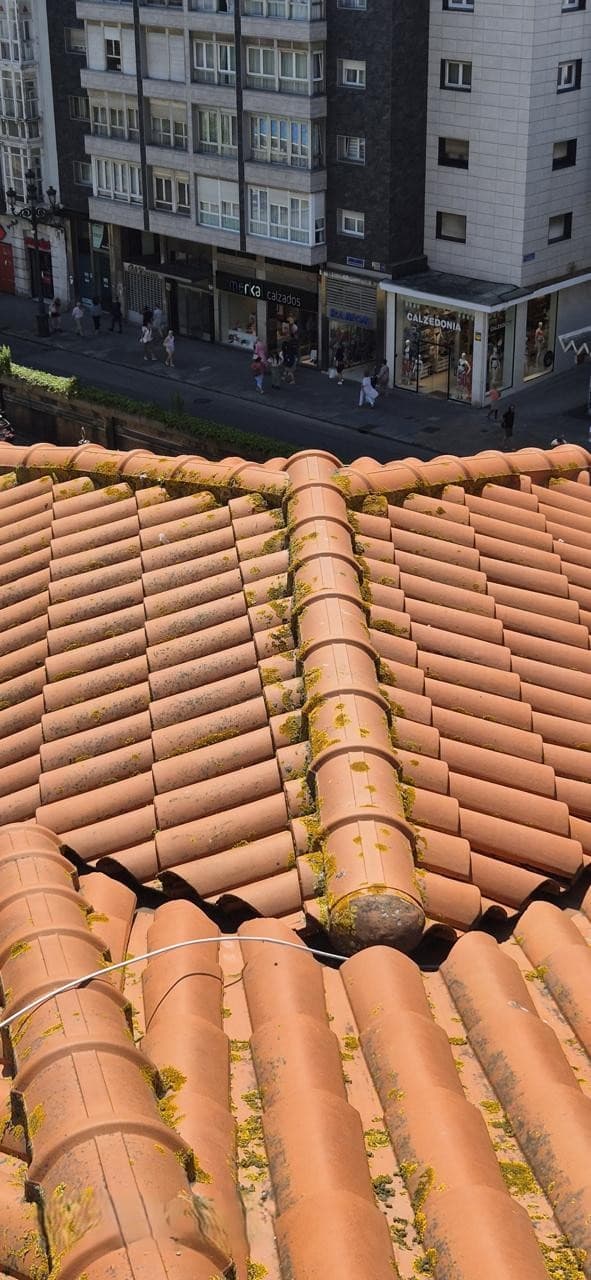 Vista panorámica del tejado con musgo